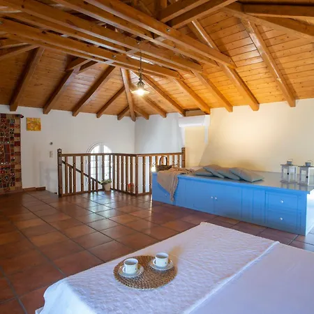 Boutique Andronice *