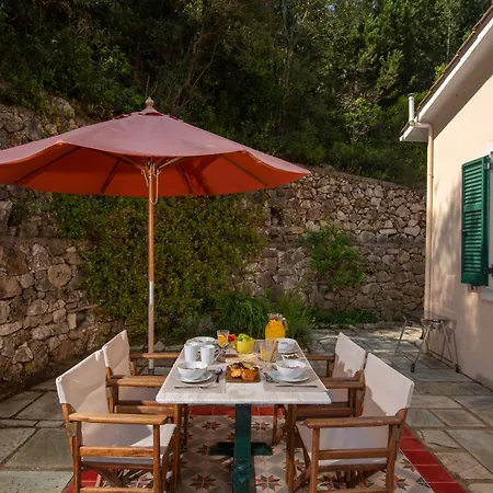 Boutique Andronice Villa