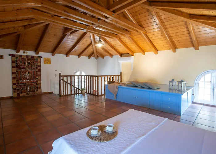 Boutique Andronice *